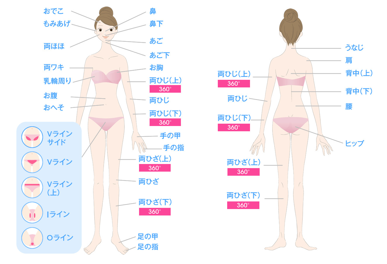 キレイモ脱毛範囲