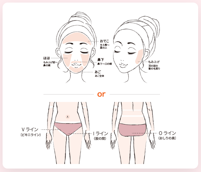 アドラーブルの顔&VIO施術範囲