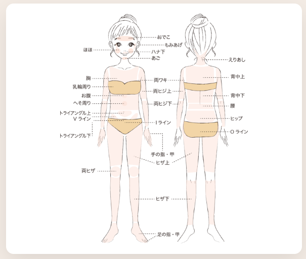 アドラーブルの施術範囲(キッズ&ジュニア脱毛)