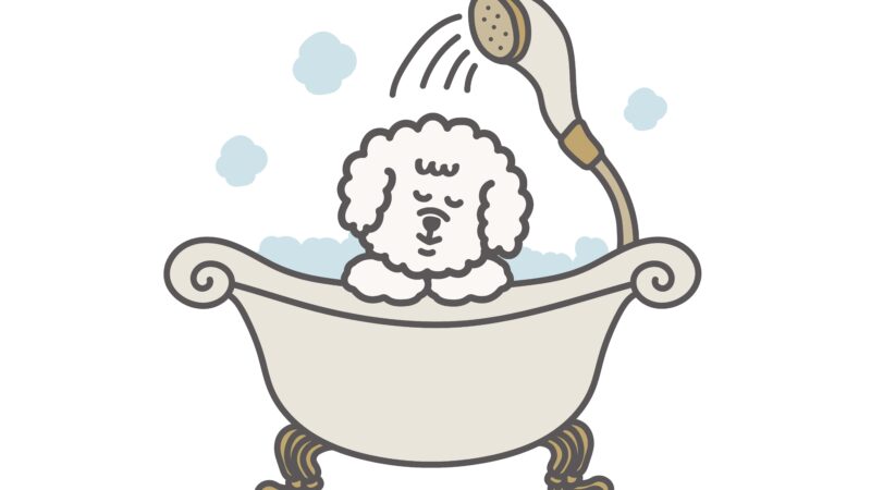 【検証】ミラブルで油性ペンは落とせる?実際に使ってみた感想も紹介!